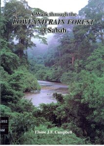 A Walk through the LOWLAND RAIN FOREST of Sabah